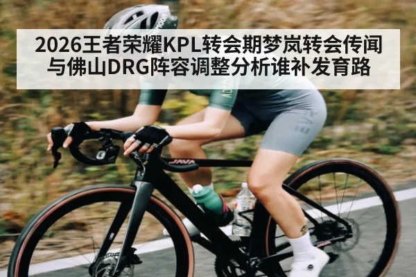2026王者荣耀KPL转会期梦岚转会传闻与佛山DRG阵容调整分析谁补发育路